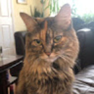 Meet your Posher, Susan